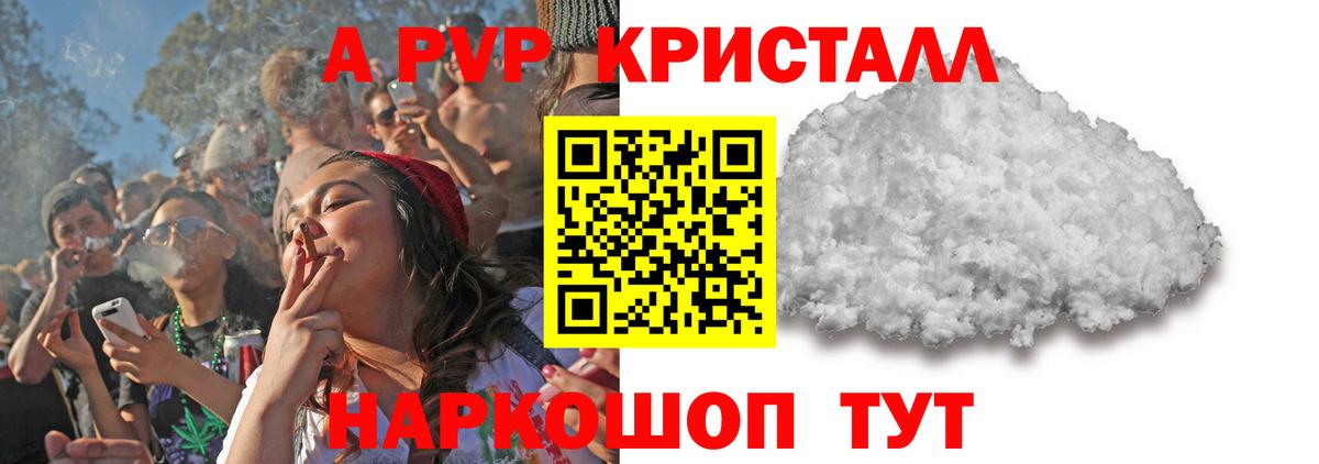 Альфа ПВП СК Калининград