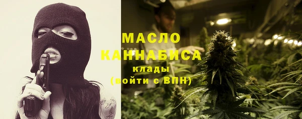 гидра Михайловск