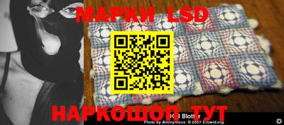 шишки Заволжье