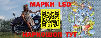 шишки Заволжье