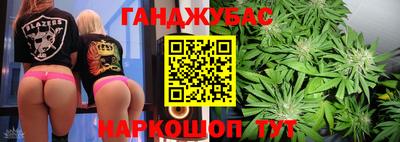 шишки Заволжье