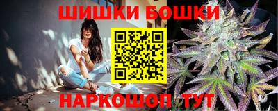 шишки Заволжье